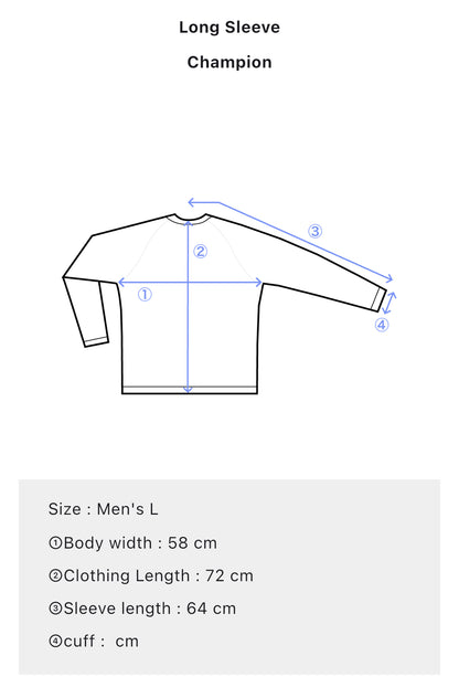 Champion Gray Crewneck Sweatshirt